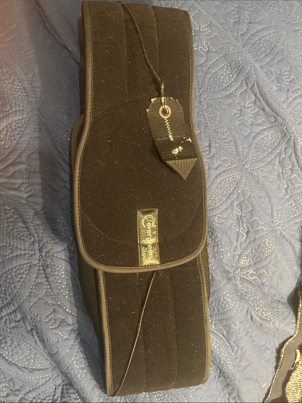 Aspen Medical Lumbar Support